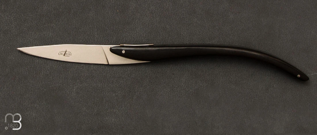 Coffret 6 Couteaux Table Laguiole Pic 5 Coffret 6 Couteaux Table Laguiole Pic – Image 3