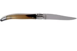 Laguiole -Laguiole AUL0207PCI SSI1 02 laguiole en aubrac aul0207pci ssi1 02