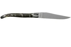 Laguiole -Laguiole AUL0212B1I FSI1 02 laguiole en aubrac