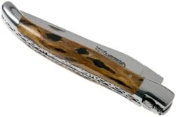 Laguiole En Aubrac 12cm Double Plates, Cactus Poncé Main, L0712CA51-FSI1 -Laguiole AUL0712CA51 FSI1 04 laguiole en aubrac v202010