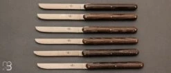 Coffret De 6 Couteaux De Table Manches Frêne Densifié Par Andrée Putman