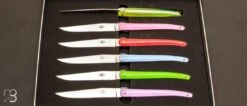 Coffret De 6 Couteaux De Table Laguiole Par J. -M. Wilmotte