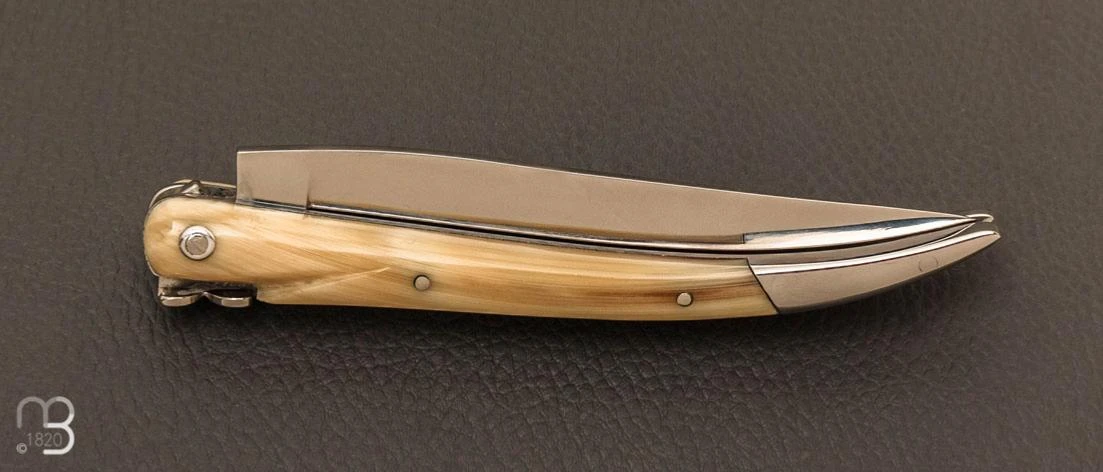 Couteau " L'Aubracien " Par Laguiole En Aubrac - Pointe De Corne 8 Couteau " L'Aubracien " Par Laguiole En Aubrac - Pointe De Corne – Image 6