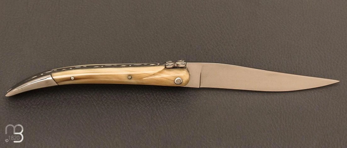 Couteau " L'Aubracien " Par Laguiole En Aubrac - Pointe De Corne 4 Couteau " L'Aubracien " Par Laguiole En Aubrac - Pointe De Corne – Image 2