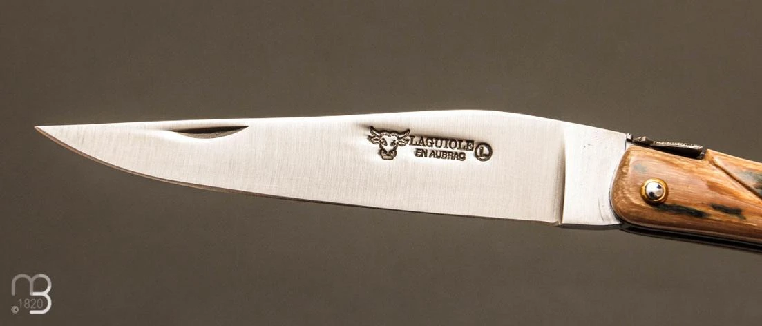 Couteau Laguiole En Aubrac 12 Cm Plein Manche En Croûte De Mammouth 5 Couteau Laguiole En Aubrac 12 Cm Plein Manche En Croûte De Mammouth – Image 3