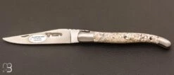 Couteau Laguiole Aubrac "Coquille DHuître Stabilisée