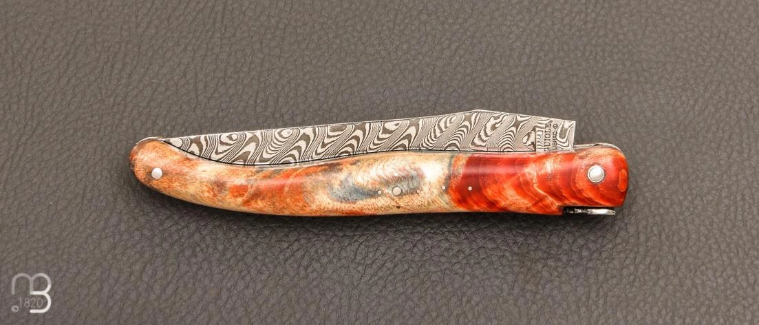 Couteau Laguiole En Aubrac 12 Cm Manche En Fourche De Peuplier Teinté Et Stabilisée 7 Couteau Laguiole En Aubrac 12 Cm Manche En Fourche De Peuplier Teinté Et Stabilisée – Image 5