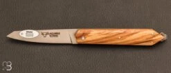 Couteau Laguiole En Aubrac Modèle "Bee Back Olivier
