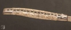 Couteau à Huîtres Laguiole Aubrac "Coquille Dhuître Stabilisée -Laguiole Couteau a Huitres Laguiole Aubrac Coquille d Huitre stabilisee 4 zoom