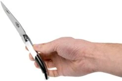 Forge De Laguiole Airbus A350 1211 INAIRBUS Couteau Laguiole -Laguiole LA1211INAIRBUS 07 forge de laguiole