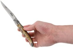 Forge De Laguiole 12 Cm 1212INBESAT Corne De Bélier, Couteau Laguiole -Laguiole LA1212INBESAT 08 forge de laguiole