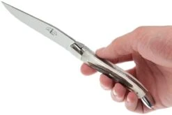 Forge De Laguiole, T22MINCFBRI, Corne De Cerf 15 Forge De Laguiole, T22MINCFBRI, Corne De Cerf -Laguiole LAT22MINCFBRI 07 forge de laguiole steakmesset lat22mincfbri 07