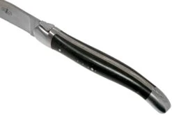 Forge De Laguiole, LAT22MINEB, Set De Couteaux à Steak, 2 Pièces, ébène Mat -Laguiole LAT22MINEB 05 forge de laguiole